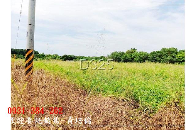 近蕭壠園區面寬農地