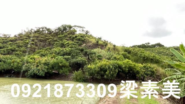 玉井農地-4