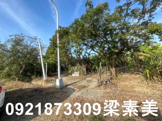 台南農地-10