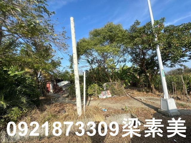 台南農地-11