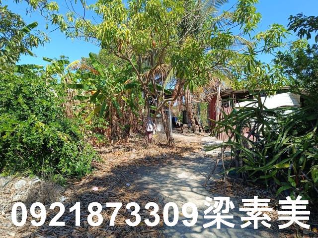 台南農地-2