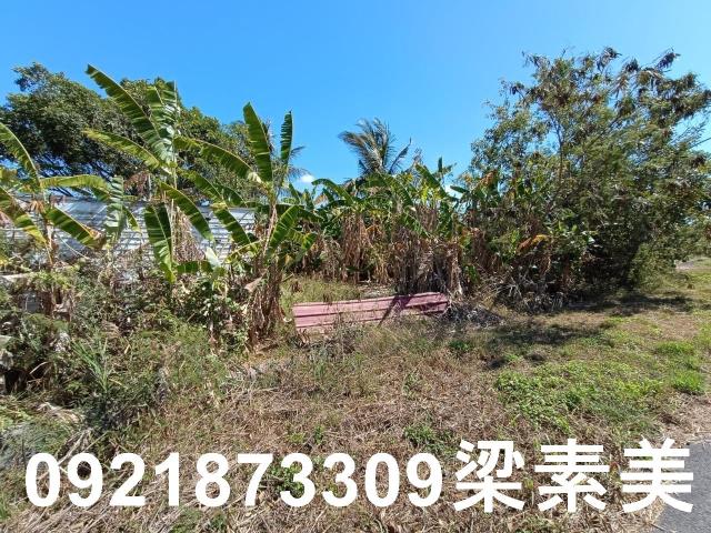 台南農地-6