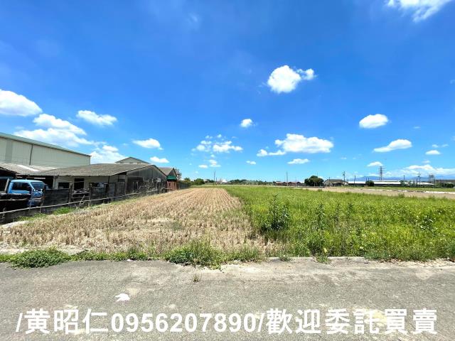 台南善化農地-5