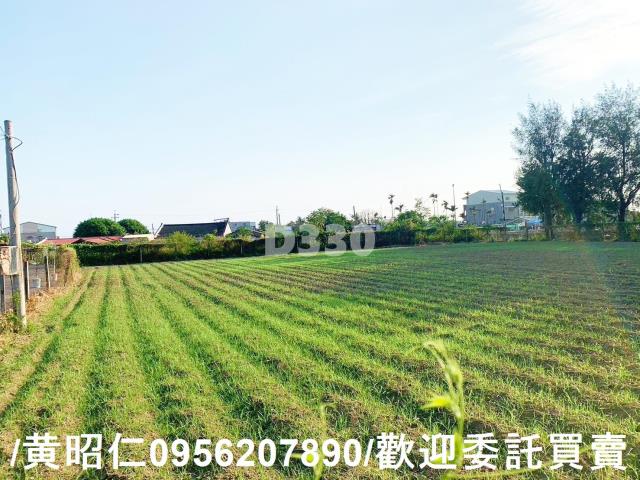 台南麻豆農地-4