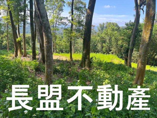 台中東勢休閒地-3