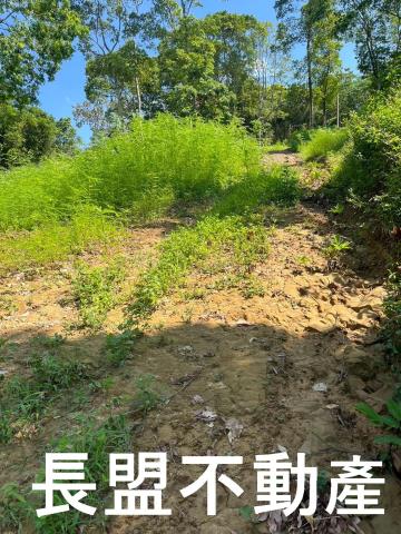 台中東勢休閒地-8