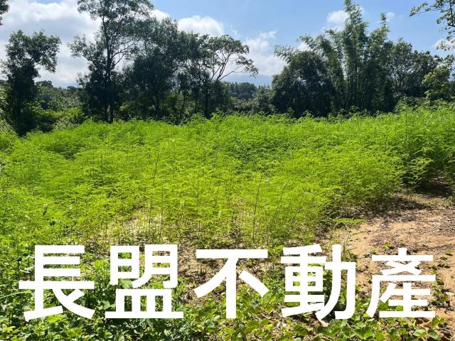 台中東勢休閒地-9
