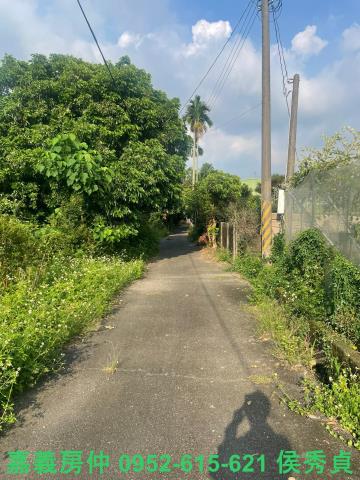 竹崎農地-6