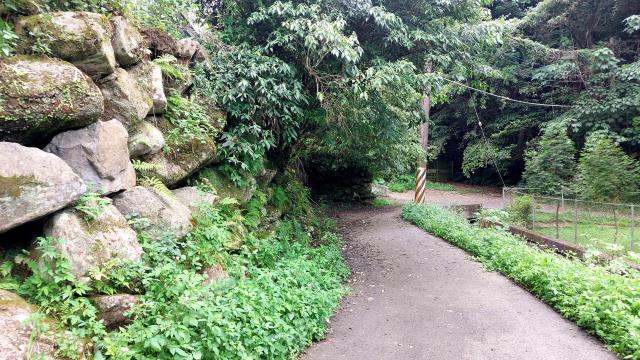 新竹橫山農地-15