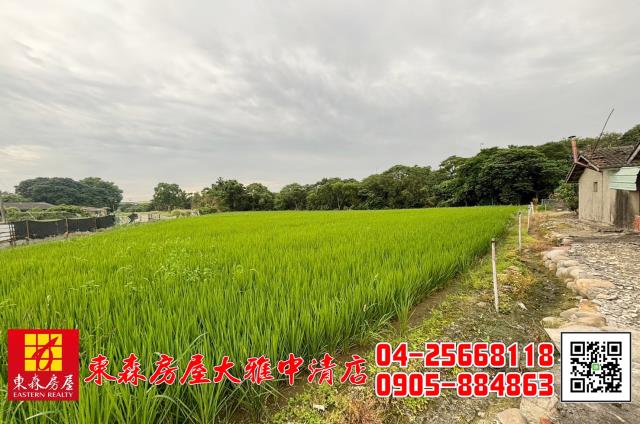 台中農地-2