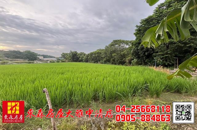 台中農地-4