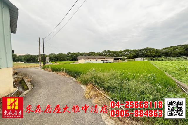 台中農地-9
