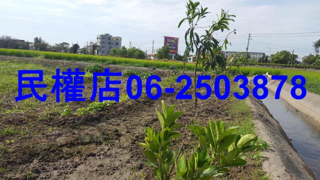官田農地-4