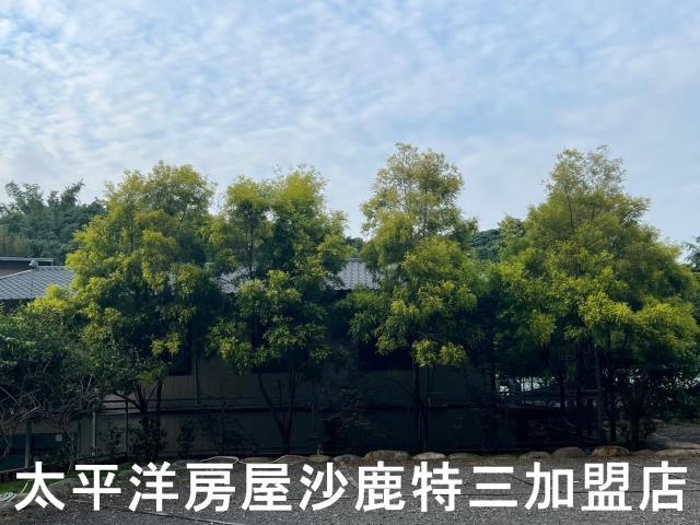 新社農地-3