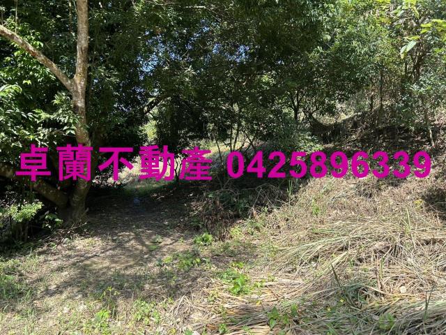 卓蘭農地-12