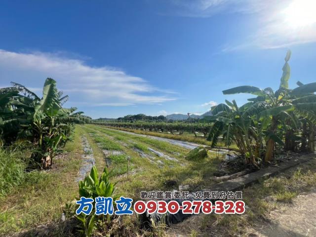 台南農地-1