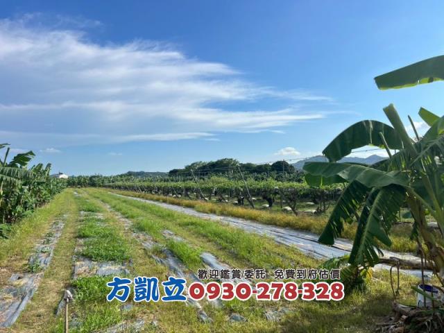 台南農地-3