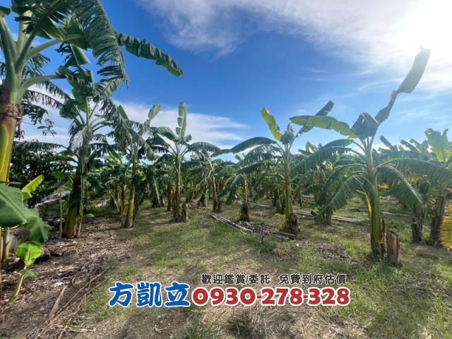 台南農地-7