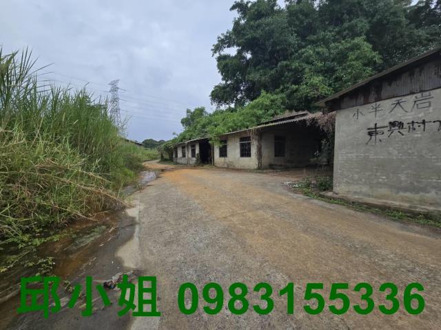 民雄農地-3