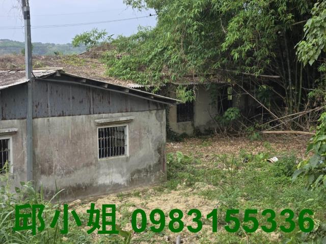 民雄農地-9