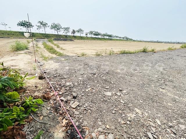 台南仁德農地-2