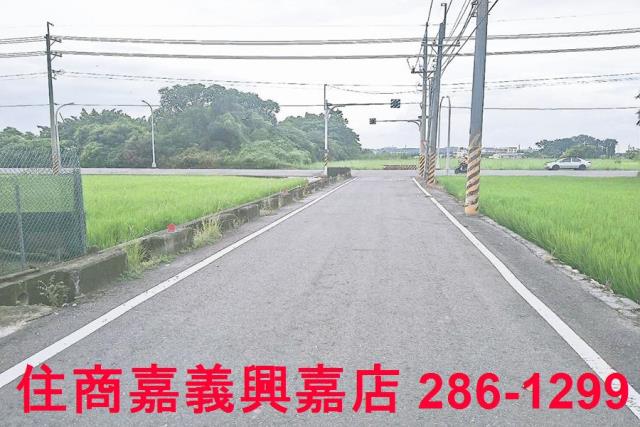 大林農地-3