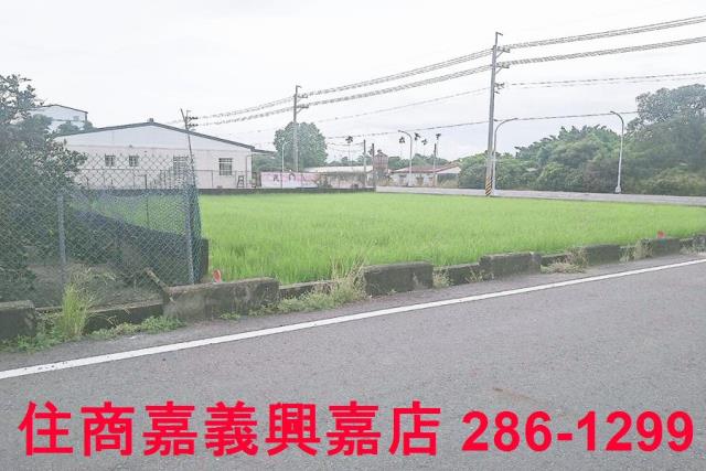 大林農地-4