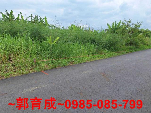 嘉義中埔農地-4