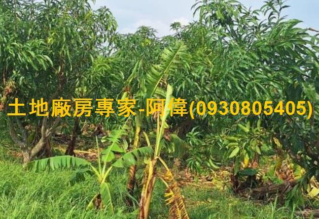 高雄農地-1