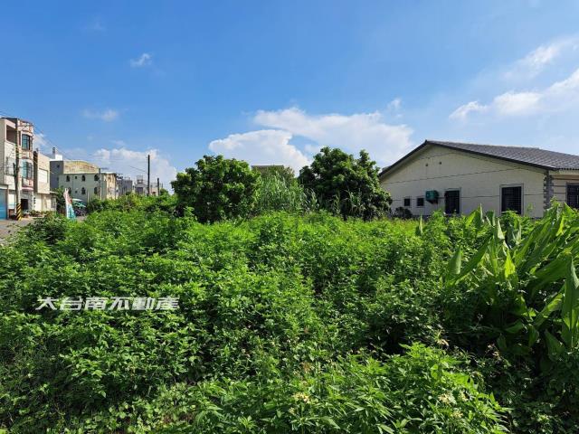 台南下營農地-5