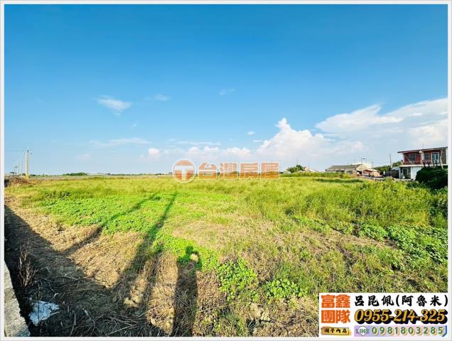 嘉義義竹農地-4