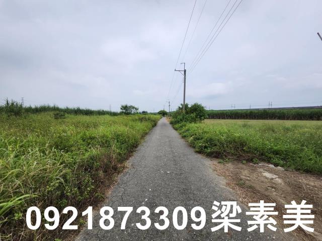 台南新化農地-2