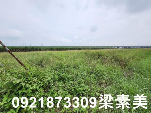 台南新化農地-4