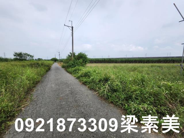 台南新化農地-5