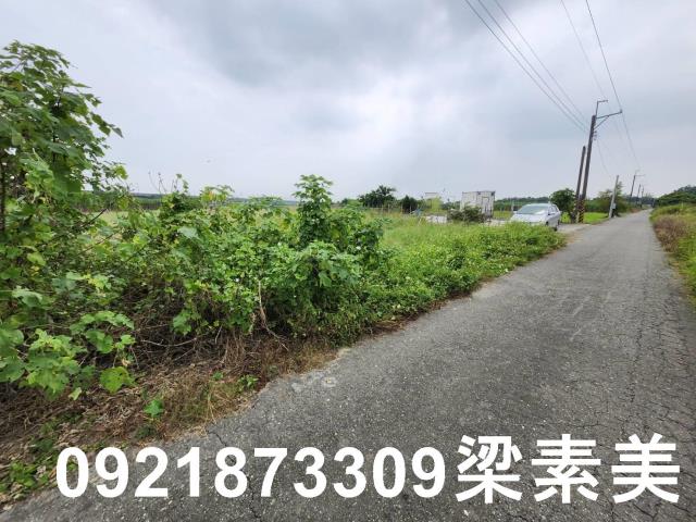 台南新化農地-7
