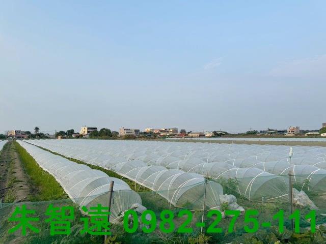 台南學甲農地-1