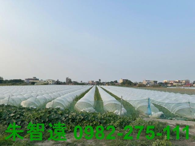 台南學甲農地-3