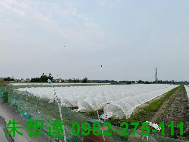 台南學甲農地-4