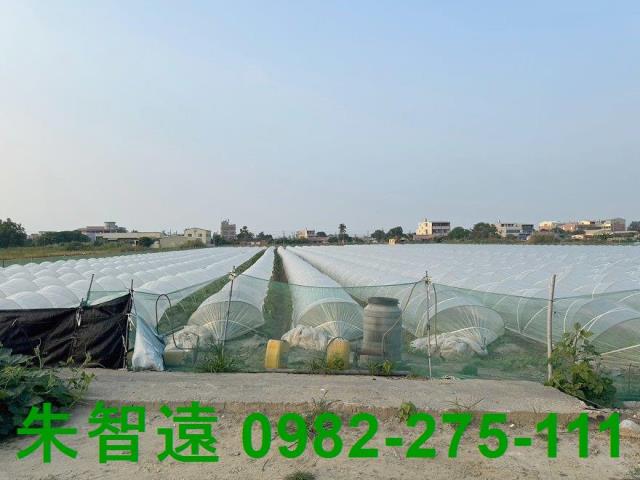 台南學甲農地-5