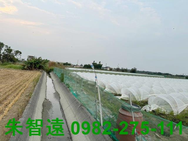 台南學甲農地-6