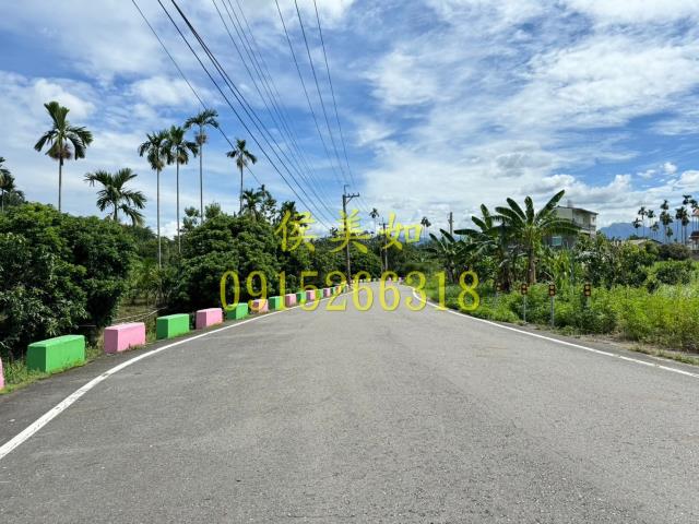 嘉義中埔農地-2