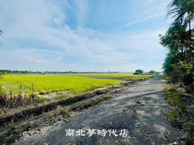 鹽水農地-1