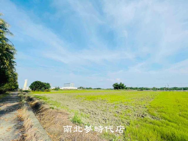 鹽水農地-2