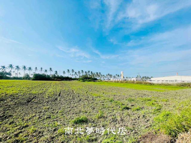 鹽水農地-5