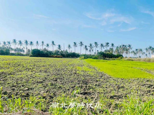 鹽水農地-9