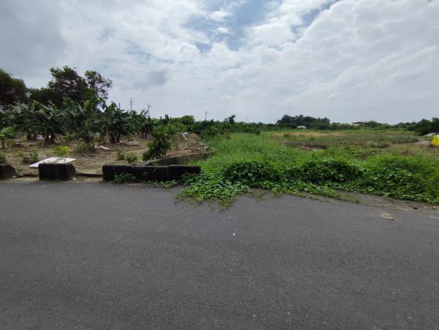台南關廟農地-10