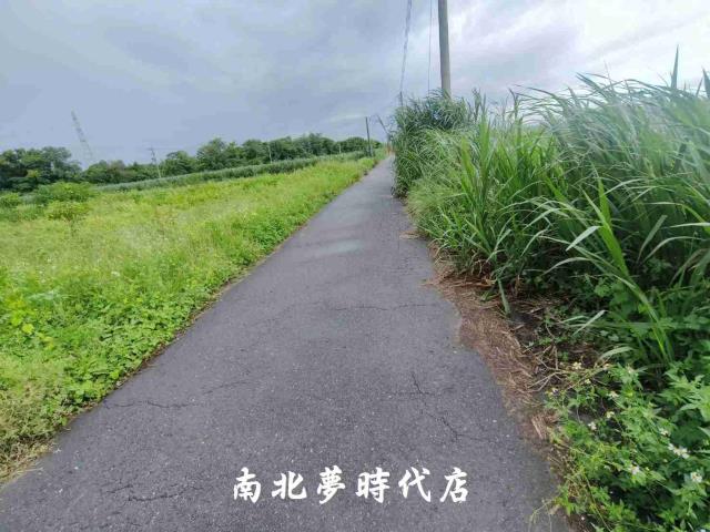 台南善化農地-4