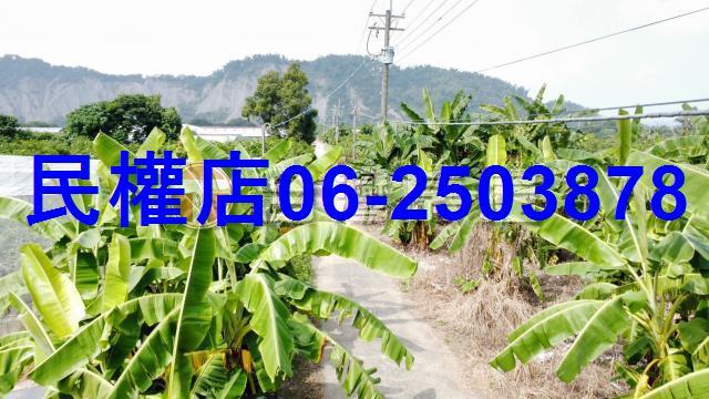 台南玉井農地-12