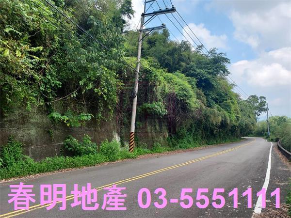 頭份林地-4