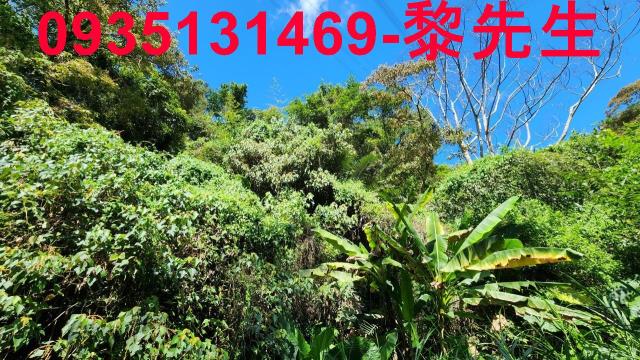 新竹芎林林地-8